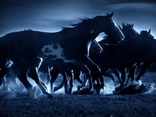 Horses running night moon black - a group of horses free wallpaper