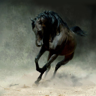 Horse running dust front legs - figuration libre free wallpaper for tablet