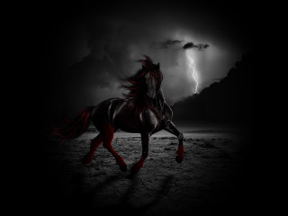 Horse running dark lightning cloud - stormy weather free wallpaper for desktop