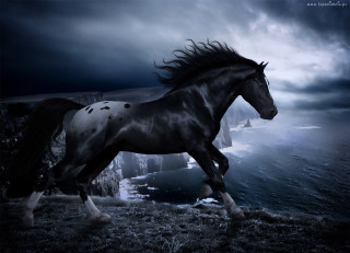 Horse cliff ocean background dark - majestic free wallpaper