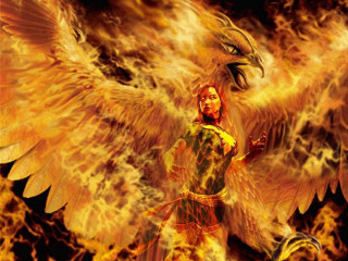 Woman bird arm sword hand - a large bird free wallpaper for desktop