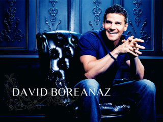 Man sitting chair hands crossed - derek zabrocki free wallpaper