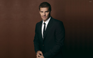 Man suit tie posing picture 9 - a brown wall behind free wallpaper