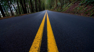 Yellow line forest road night - a yellow line free wallpaper