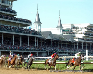Horses racing track crowd stands - dave arredondo free wallpaper