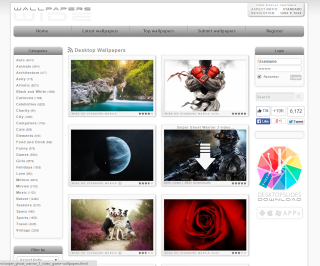 Web page pictures red rose - a web page free wallpaper