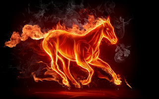 Horse running fire field flames 6 - a black background behind free wallpaper
