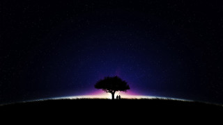 Tree field stars purple blue - a sky full free wallpaper