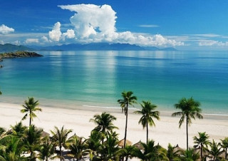 Beach palm trees blue sky 27 - a white sand beach free wallpaper