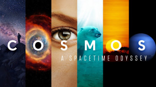 Cosmos collage woman face images - cosmic free wallpaper