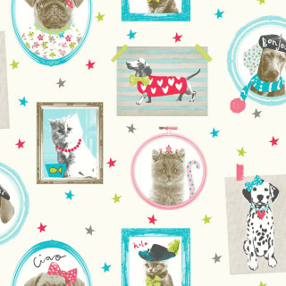 Dog cat picture frame wallpaper 2 - free cats wallpaper for tablet