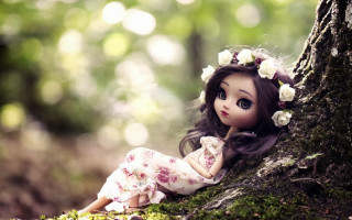 Doll sitting tree woods flowers - the ground next free wallpaper