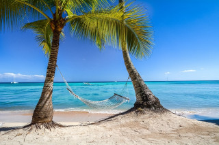 Hammock palm trees beach boat - a hammock free wallpaper