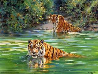 Tigers river trees background water - the background and water free wallpaper