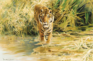 Tiger walking water grass bushes - an oil painting free wallpaper