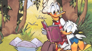 Cartoon duck duckling reading woods - underground comix free wallpaper