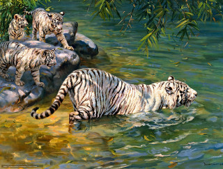 White tiger river background tree - brothers hildebrandt free wallpaper