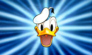 Cartoon duck hat blue background 2 - a cartoon duck free wallpaper