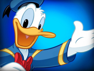 Cartoon duck blue uniform pointing - a cartoon duck free wallpaper