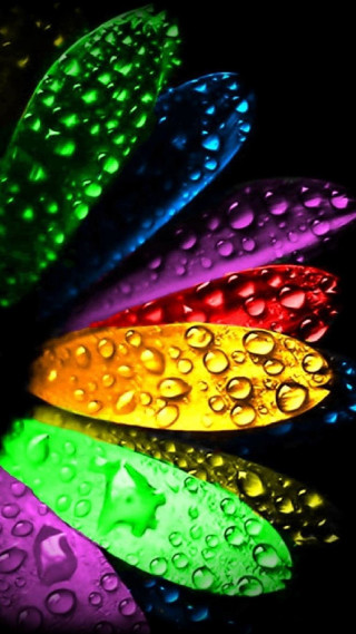 Colorful flower water droplets black - neon color free wallpaper for mobile