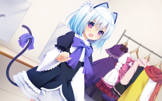 Anime girl dress rack cat - a anime girl free wallpaper for desktop