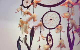 Feathers ceiling clock wall window - clock free wallpaper