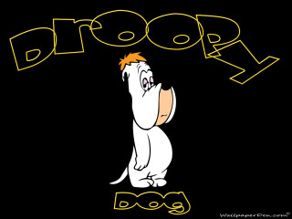 Cartoon dog yellow border droppy - a cartoon dog free wallpaper
