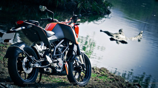 Motorcycle water ducks flying background - duck free wallpaper