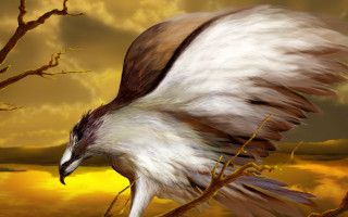 Bird wings spread flying sunset - a digital painting free wallpaper for desktop