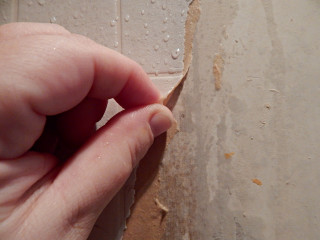 Person holding paper pointing thumb - a thumb free wallpaper