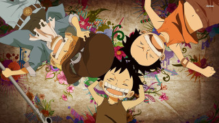 People microphone flowers vines group - eiichiro oda free wallpaper for desktop