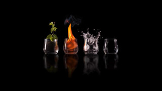 Glasses plant table black background - product photography free wallpaper