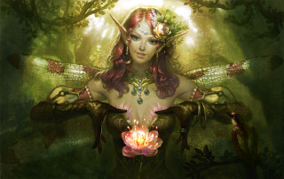 Woman dragon flower forest fantasy - a detailed painting free wallpaper