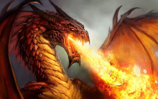 Fire dragon battle embers flames - dragon art free wallpaper
