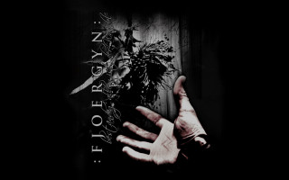 Person holding plant story back - album cover free wallpaper for desktop