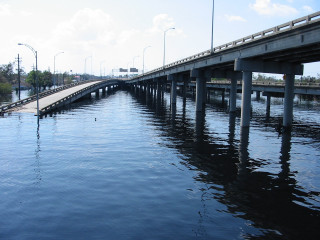 Bridge water duck swimming street - elizabeth charleston free wallpaper