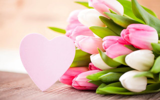 Tulips heart card table wooden - card free wallpaper