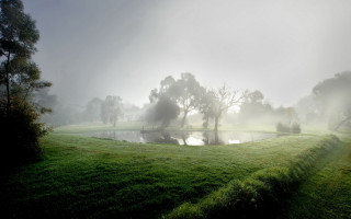 Foggy field pond trees distance - a foggy field free wallpaper