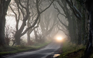 Car driving road trees foggy - the foggy day time free wallpaper