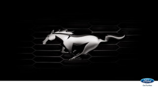 Horse running black honeycombs white - a white horse free wallpaper for desktop