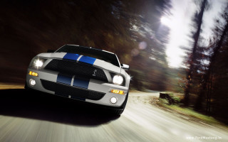 White blue mustang driving road - the side of the road free wallpaper for desktop