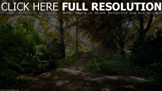 Forest path bench sign nature - a bench in the middle of it free wallpaper