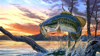 Fish jumping sunset branch water - digital painting free wallpaper for desktop
