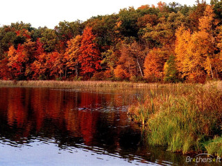Lake trees fall colors ducks - fall free wallpaper
