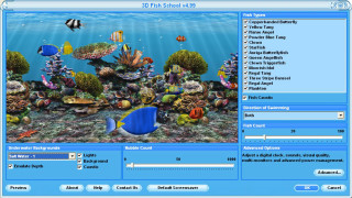 Fish school blue screen chippy - a blue screen free wallpaper