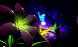 Flower butterfly night sky background 2 - the dark night sky free wallpaper for desktop