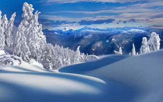 Snowy mountain trees background blue 5 - free winter wallpaper