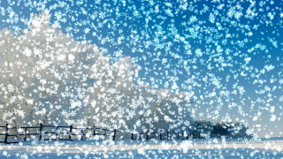 Snow covered tree fence snowfield - impressionism free wallpaper