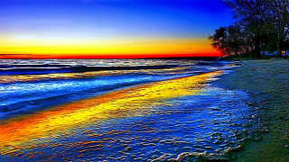 Beach sunset trees shore blue - the shore of the beach free wallpaper