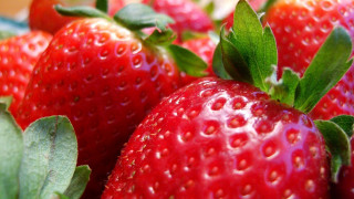 Strawberry closeup macro berries leaves - strawberry free wallpaper